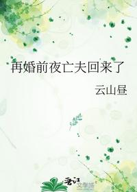 再婚前夜亡夫回来了